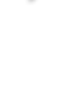 オマール海老と ホタテのポワレ